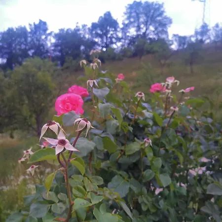 La Nature * Zenica